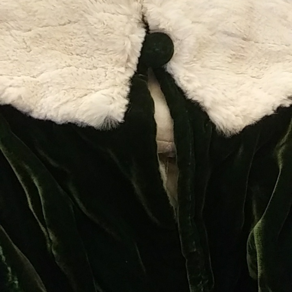 Antique Victorian fur collar green velvet silk coat vintage jacket Edwardian - Picture 15 of 16